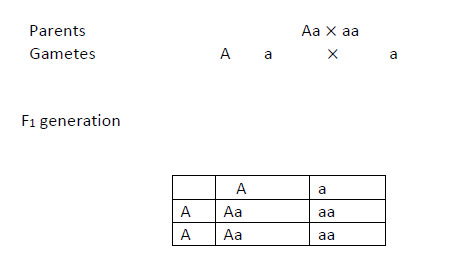 Biology-Set-4-Q-37-sol