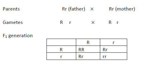 Biology-Set-4-Q-38-sol