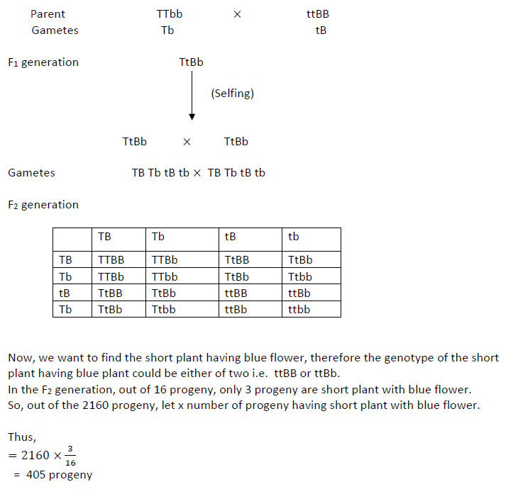 Biology-Set-4-Q-55-sol