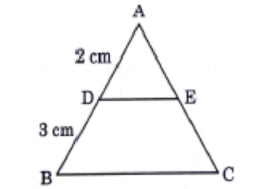 Math-Stand-C10-Ques-5