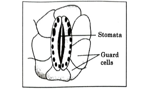 Question 16