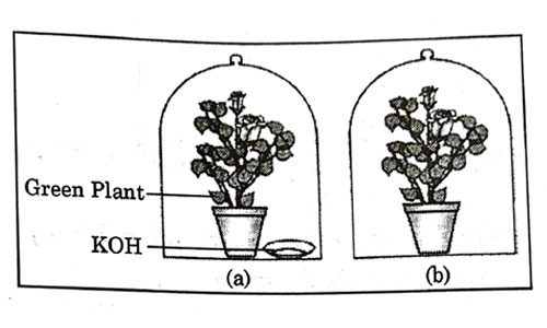 Question 36