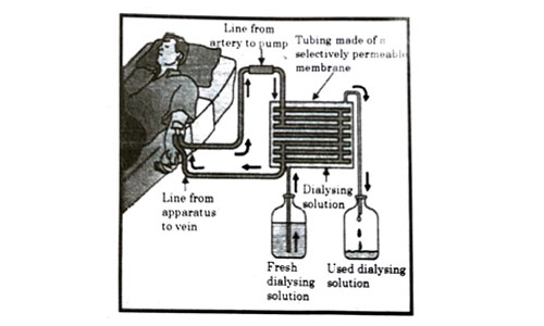 Question 52