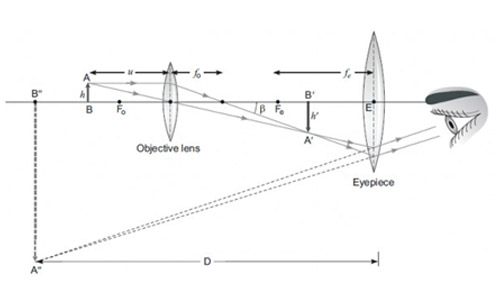 Question 60 Answer