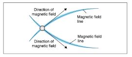 MBD_SR_Class10_Sci_Ch13_197