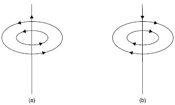 MBD_SR_Class10_Sci_Ch13_205