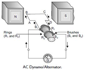 MBD_SR_Class10_Sci_Ch13_210