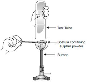 MBD_SR_Class10_Sci_Ch3_59