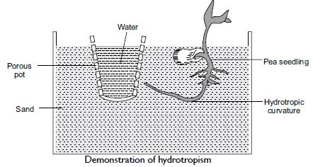 MBD_SR_Class10_Sci_Ch7_113.JPG